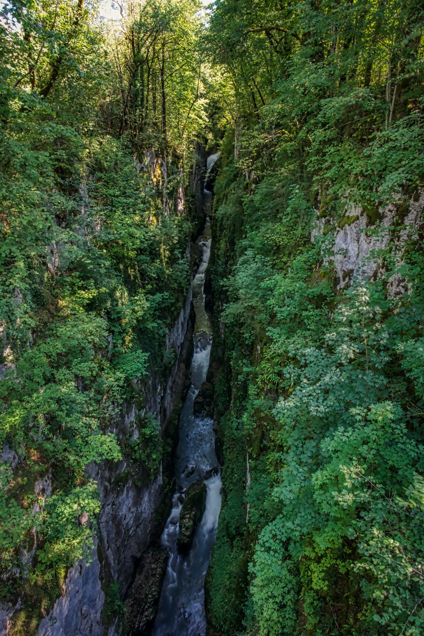 Paysage Cascade Cascade de la Billaude Cascade1.jpeg